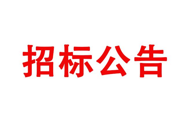 支撐平臺(tái)采購(gòu)項(xiàng)目采購(gòu)公告（二次）